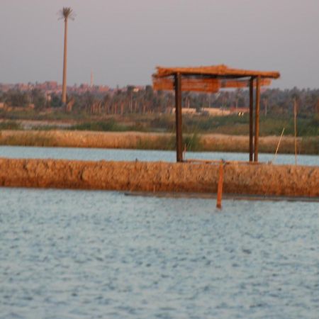 Kom El Dikka Agri Lodge ‘Izbat an Nāmūs Bagian luar foto