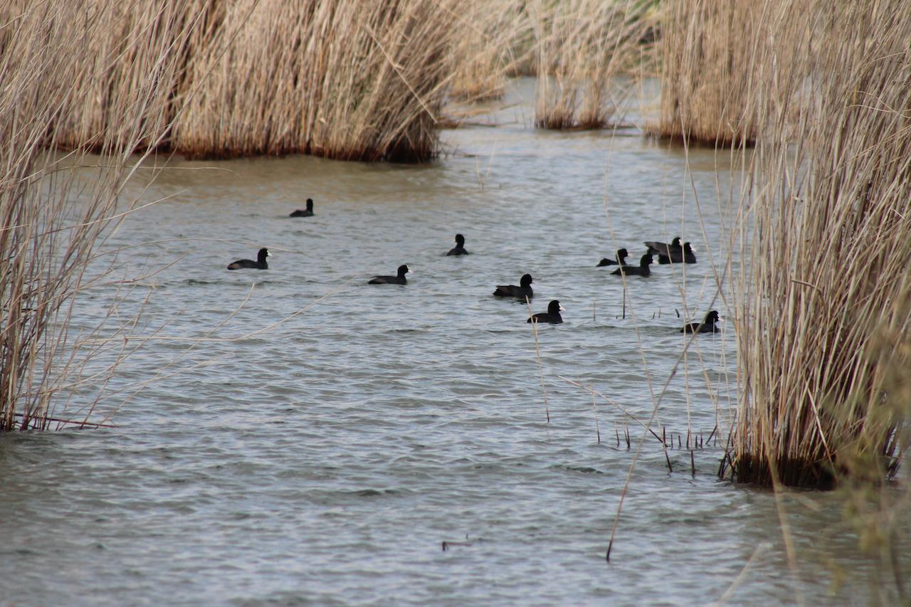 Kom El Dikka Agri Lodge ‘Izbat an Nāmūs Bagian luar foto