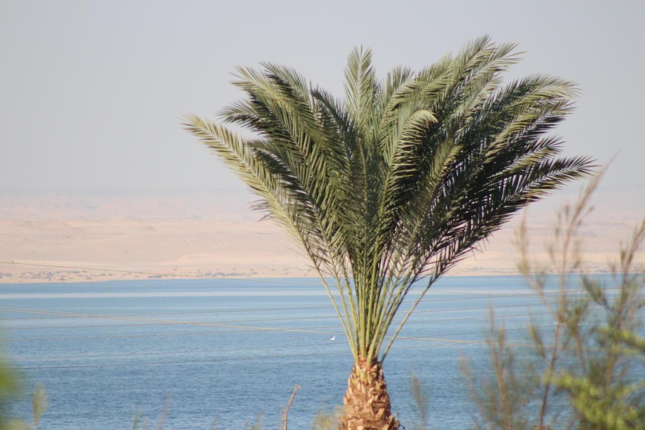 Kom El Dikka Agri Lodge ‘Izbat an Nāmūs Ruang foto