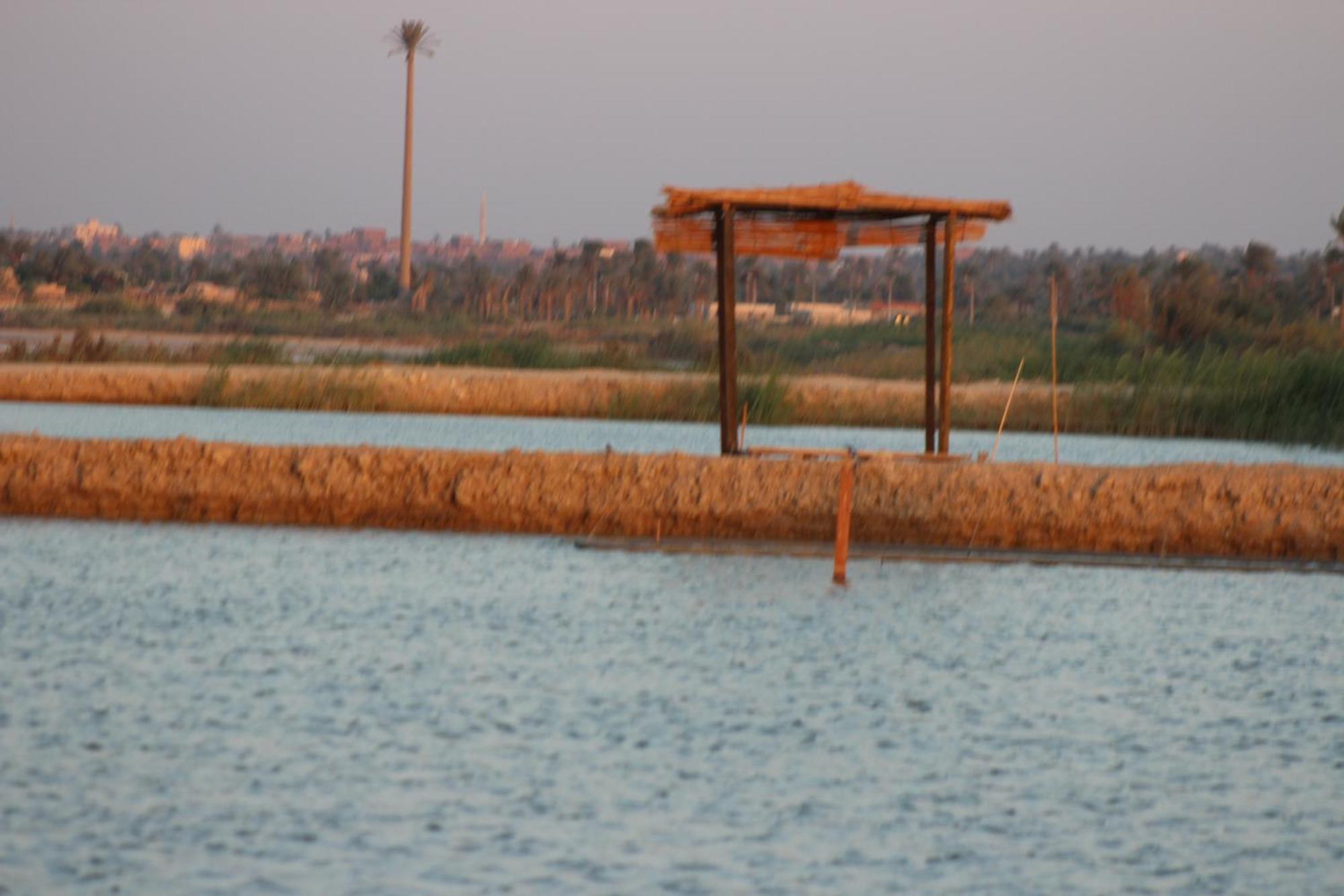 Kom El Dikka Agri Lodge ‘Izbat an Nāmūs Bagian luar foto